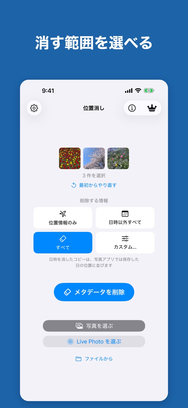Ichikeshi metadata removal options, showing a sample Premium feature from the official Japanese App Store listing.